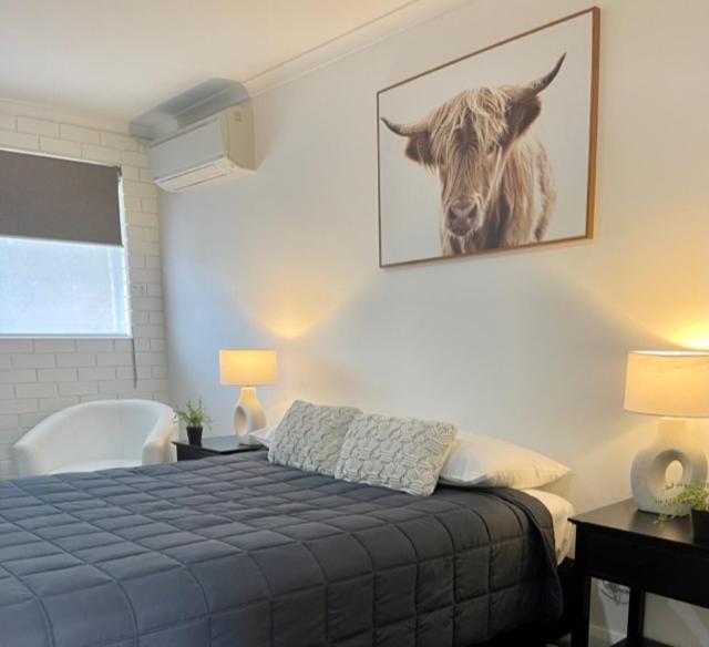 Estelle Kramer Motel Armidale Dış mekan fotoğraf